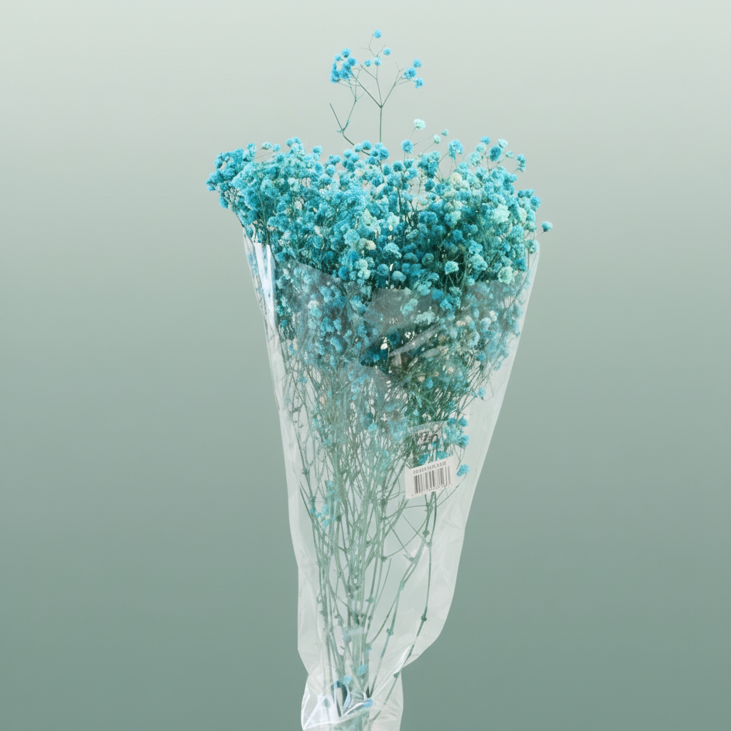 Pres Gypsophila Blue