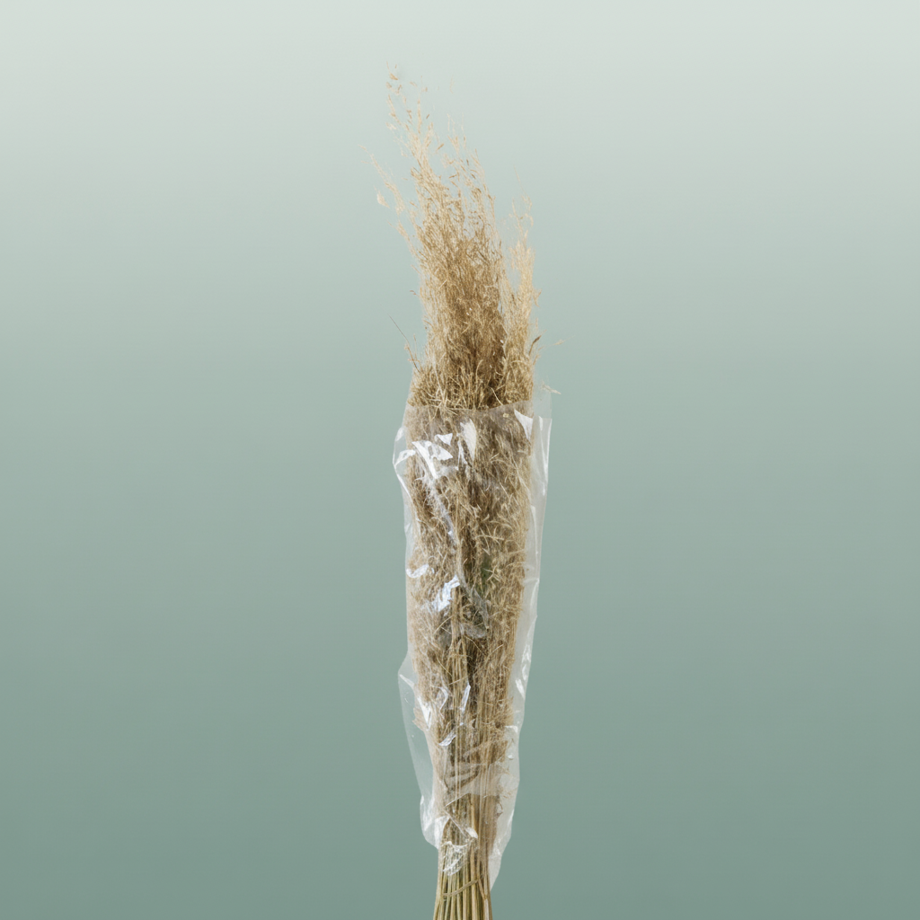 Dried Munni Grass Natural