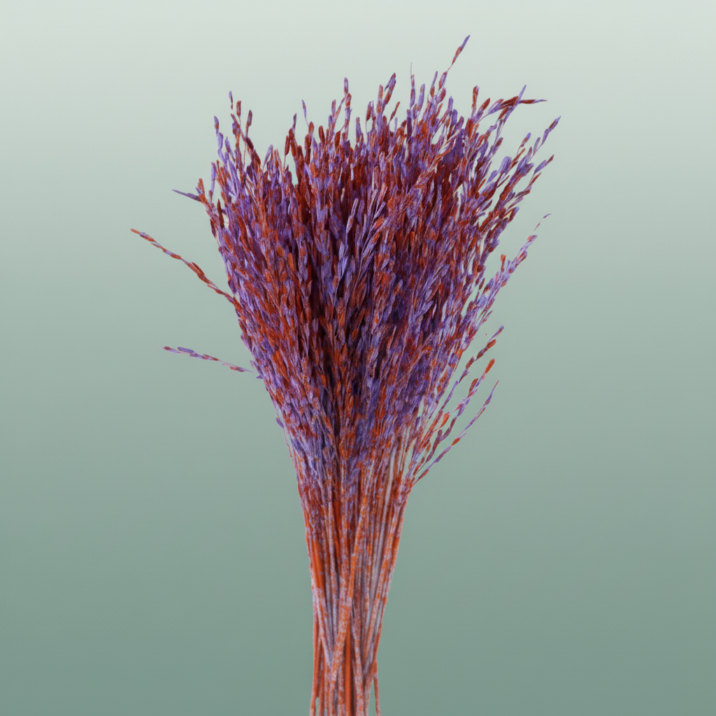 Dried Artz Rice Grass Mondriaan