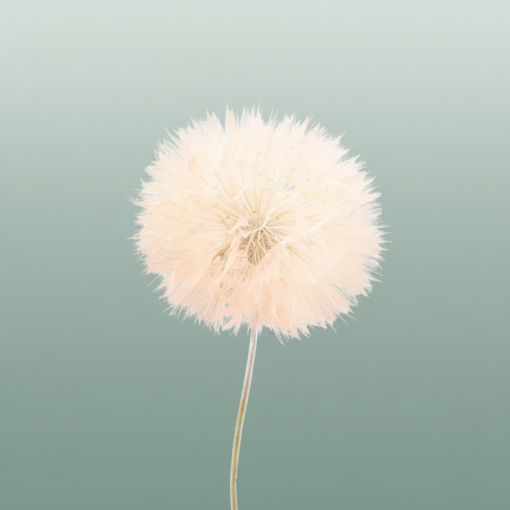 Pres Puste Flower Baby Satin Orange