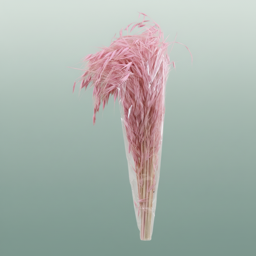 Dried Avena Salv Pink