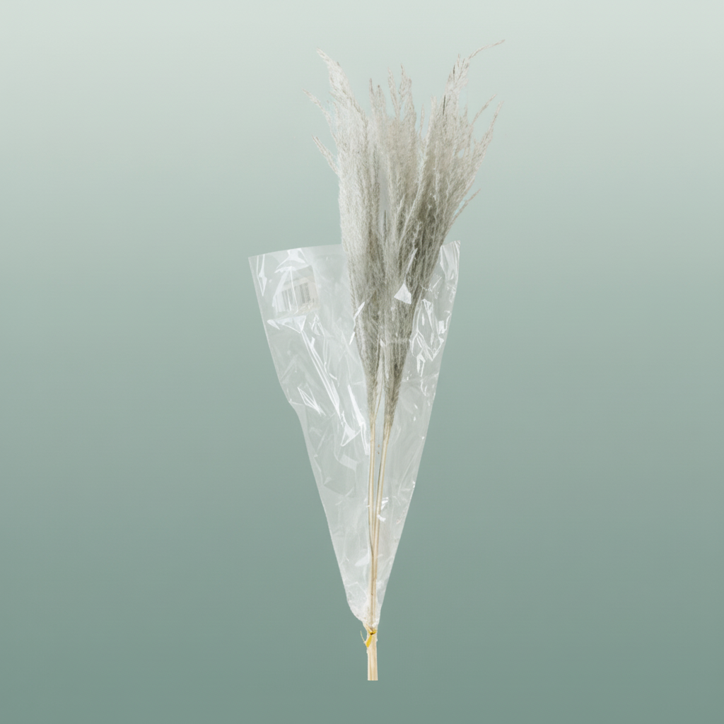 Dried Stipha Feather Xl Grey