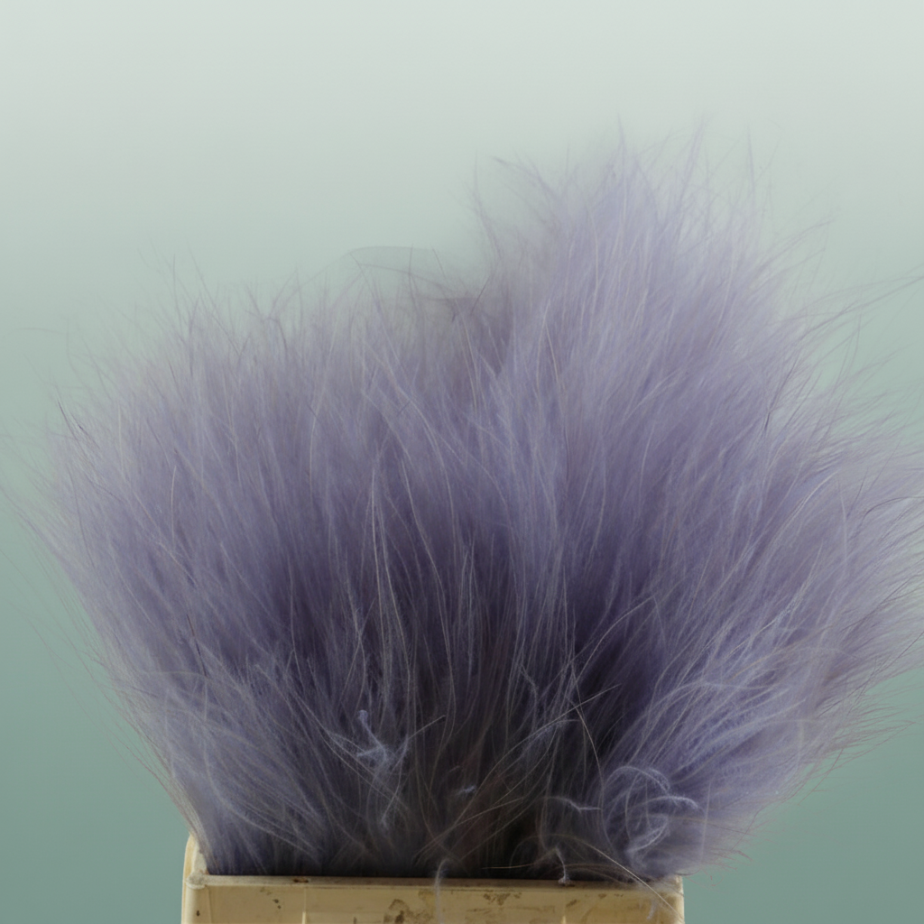 Dried Stypha Lavender