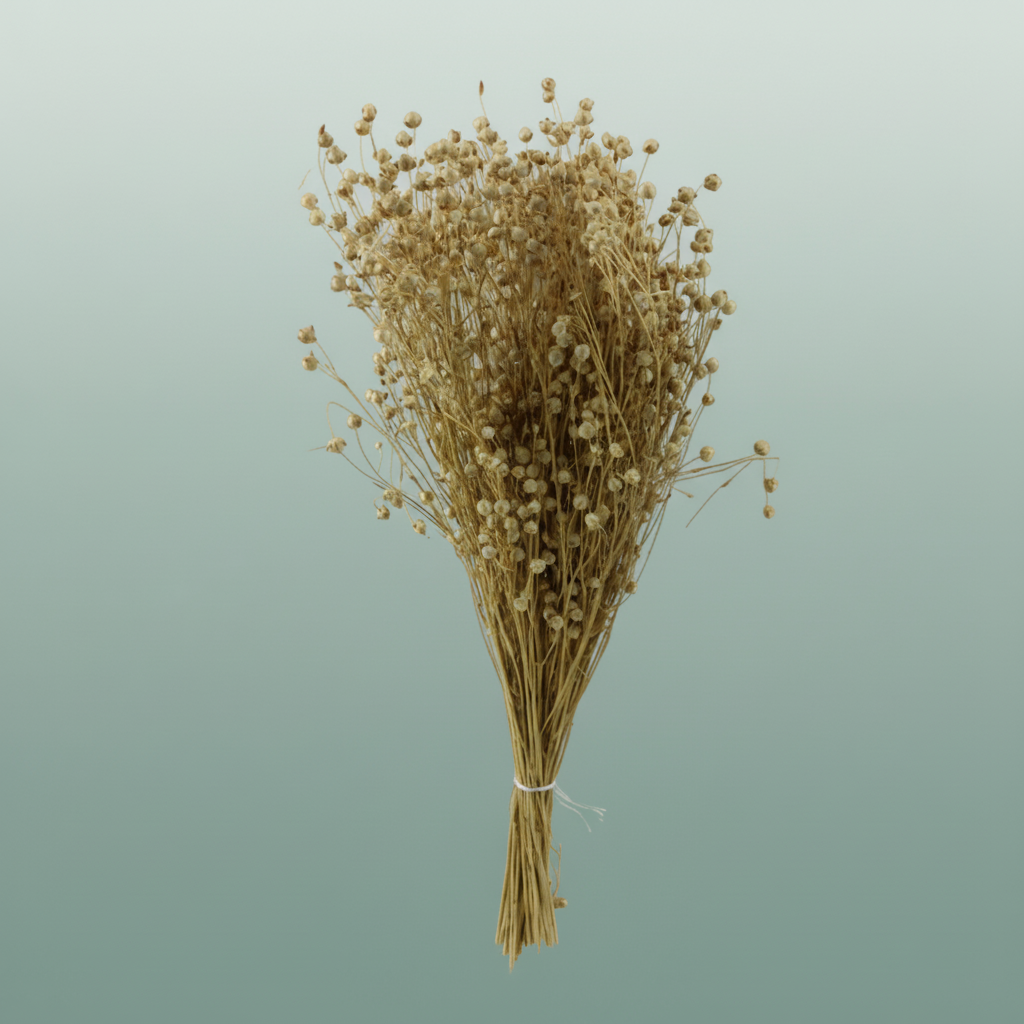 Dried Lino/vlas Natural