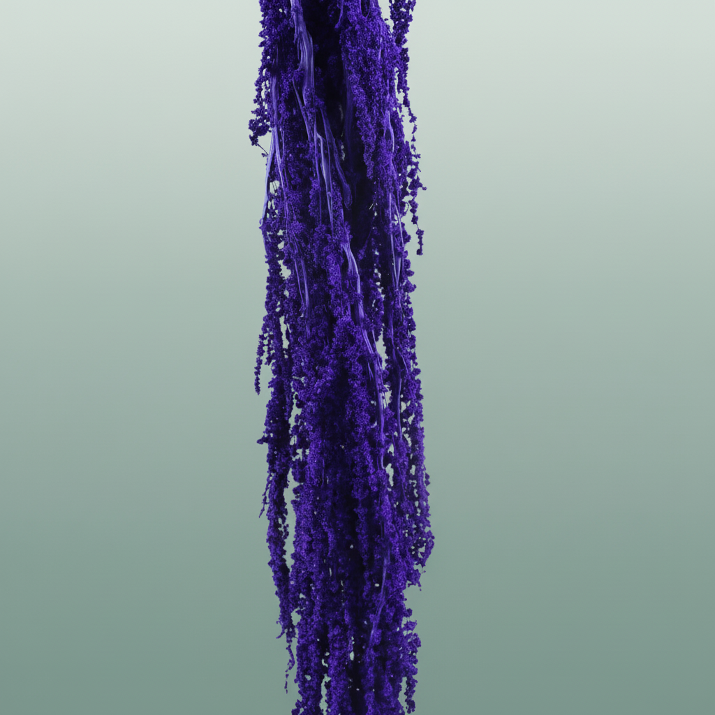 Pres Amaranthus Caud Light Purple