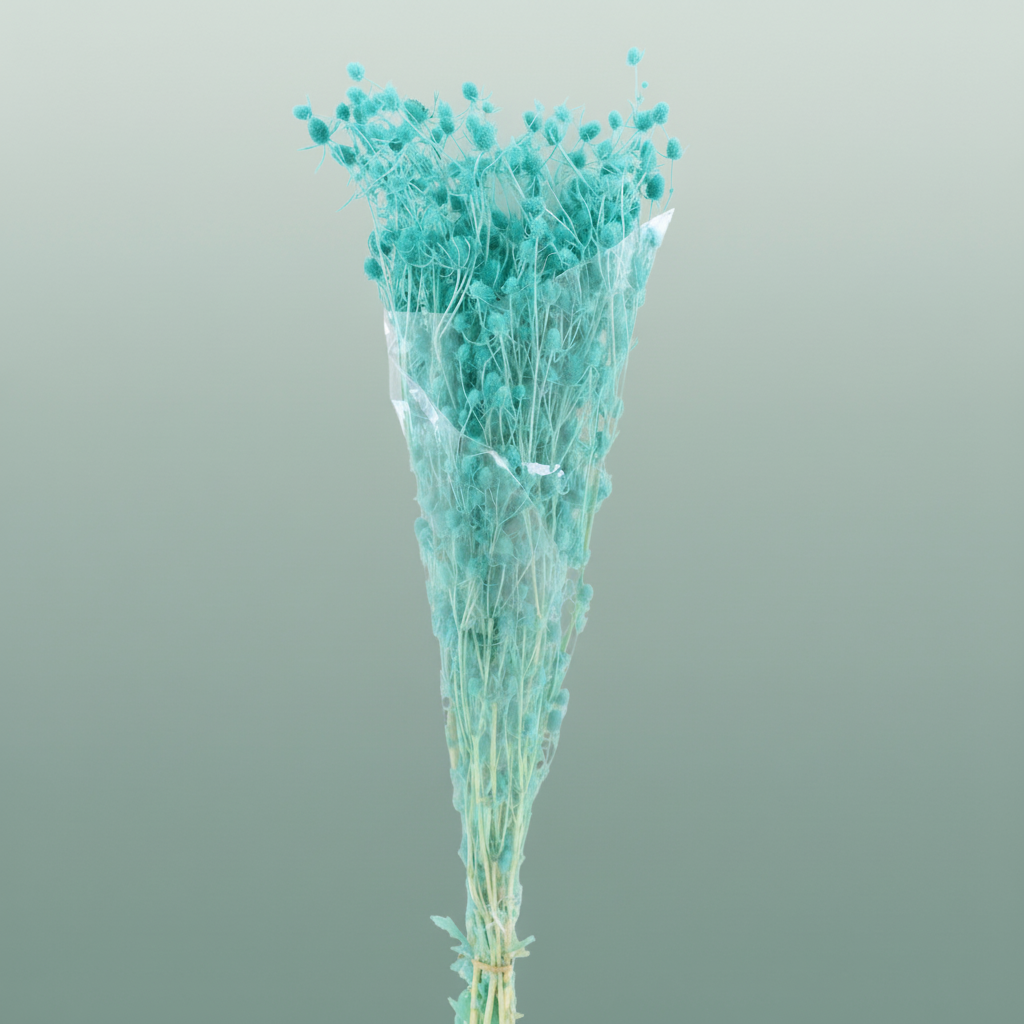 Pres Eryngium Mini Aqua Blue