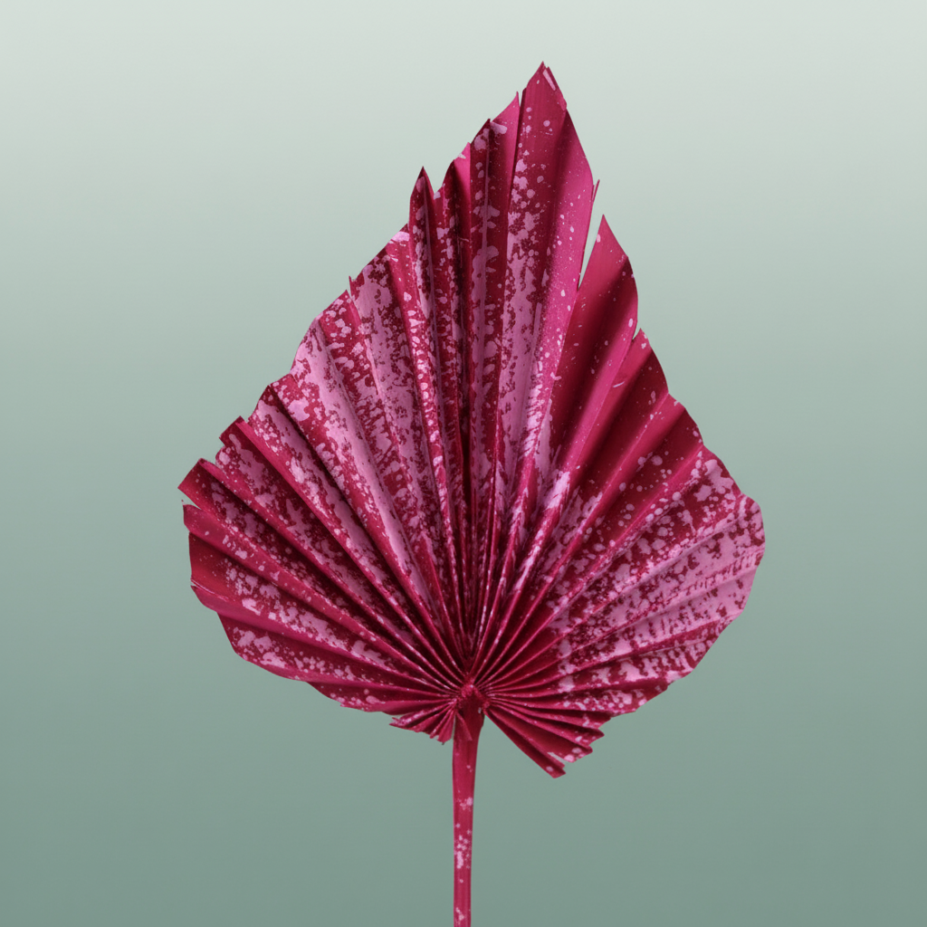 Dried Artz Palm Spear Xl Rembrandt