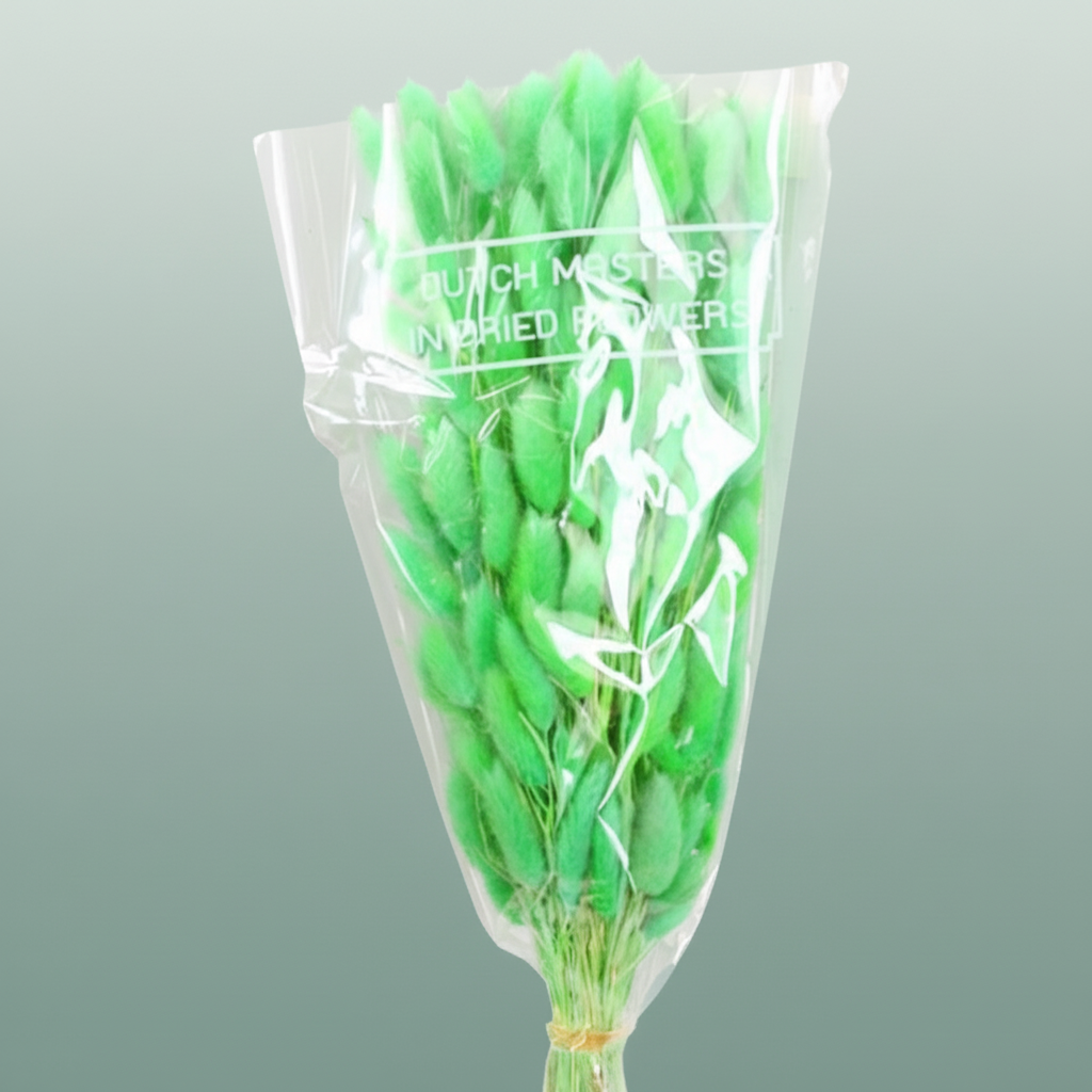 Dried Lagurus Bl Mint Green