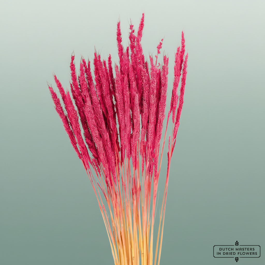 Dried Soft Silk Worms Pink