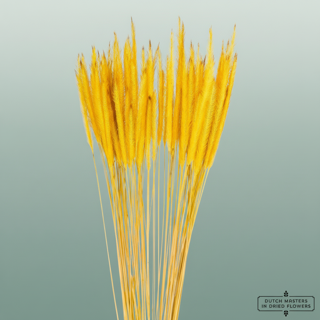 Dried Soft Silk Worms Yellow