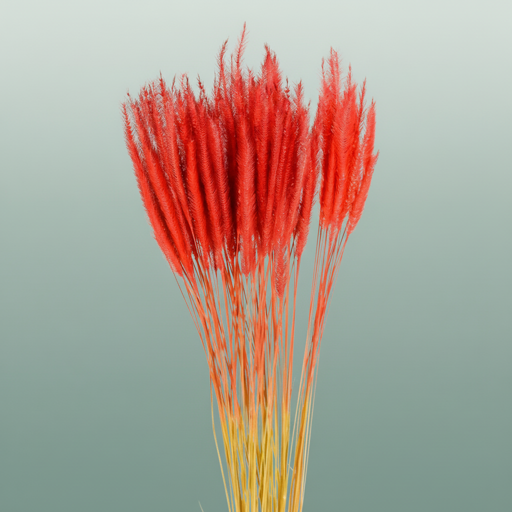 Dried Soft Silk Worms Red