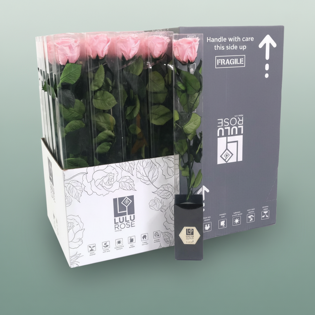 Rose Preserved Delicate Baby Pink