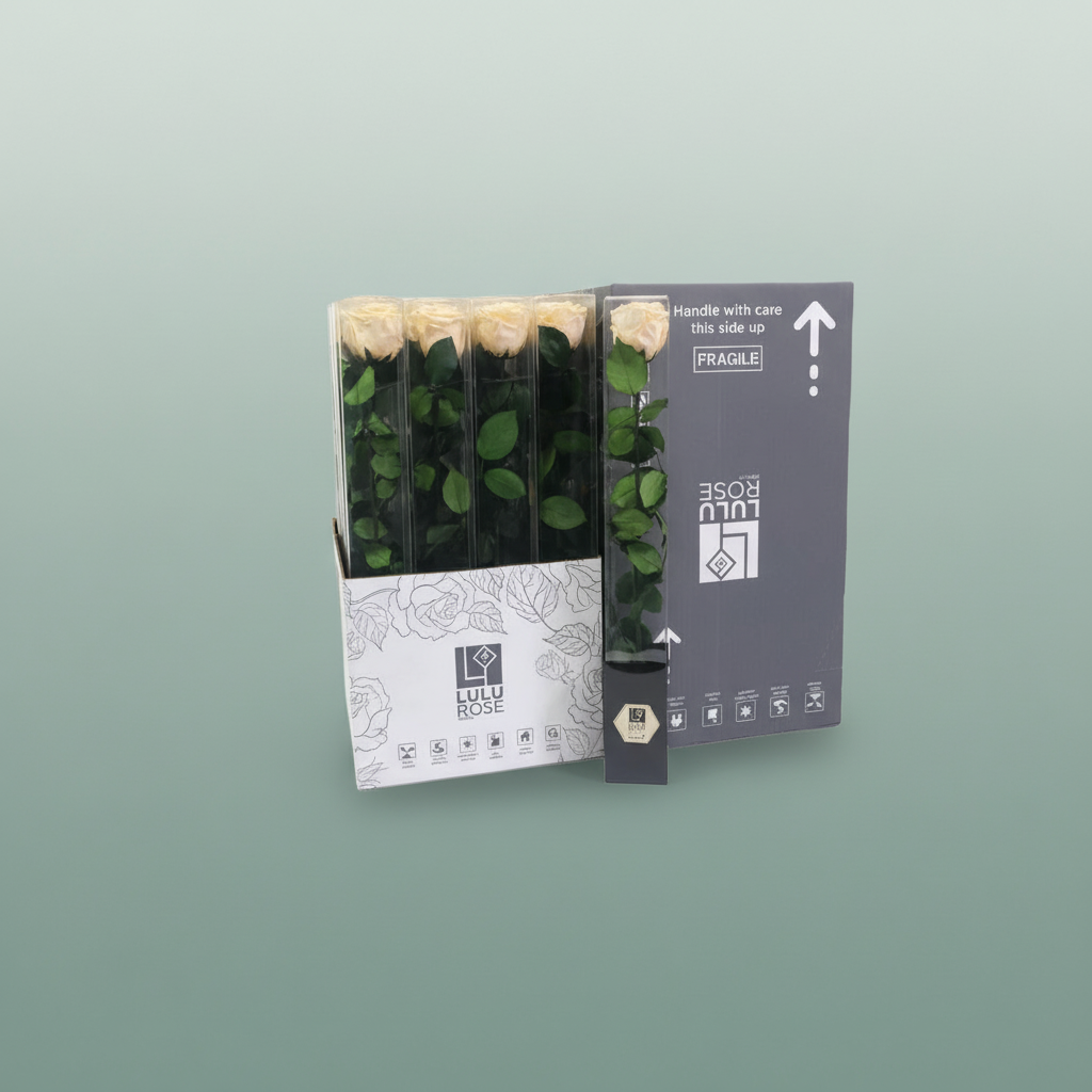 Rose Preserved Stem Chic Champagne