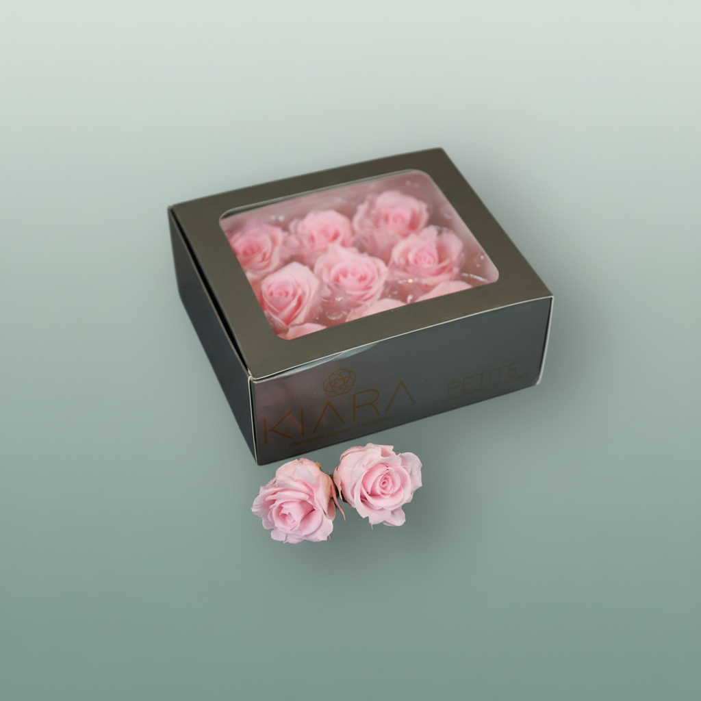 Rose Preserved Bridal Pink Petite