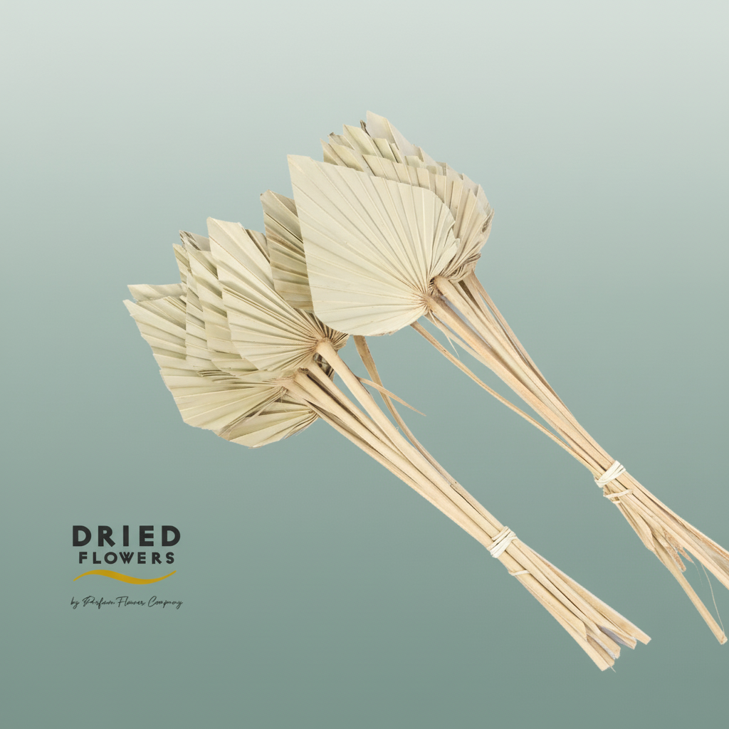 Dried Palm Spear Natural