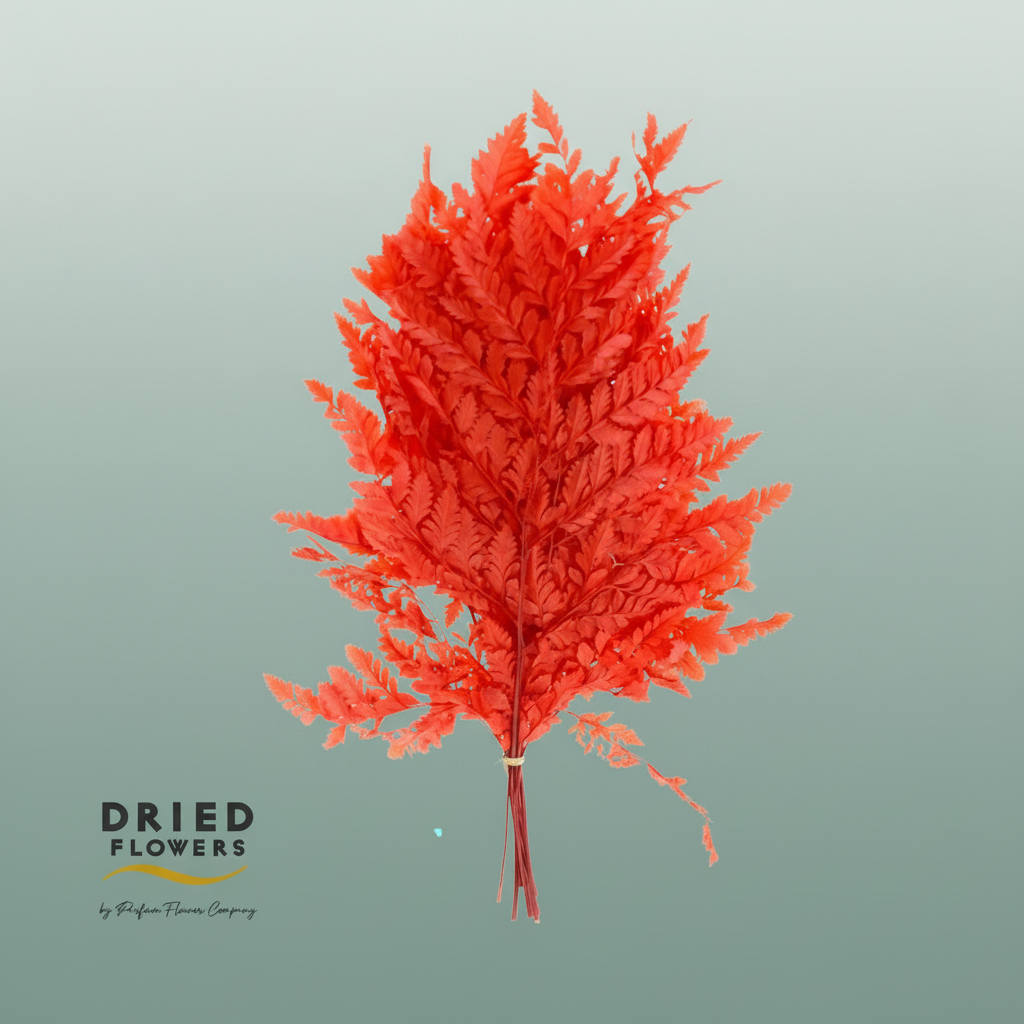 Dried Bleached Leatherleaf Red