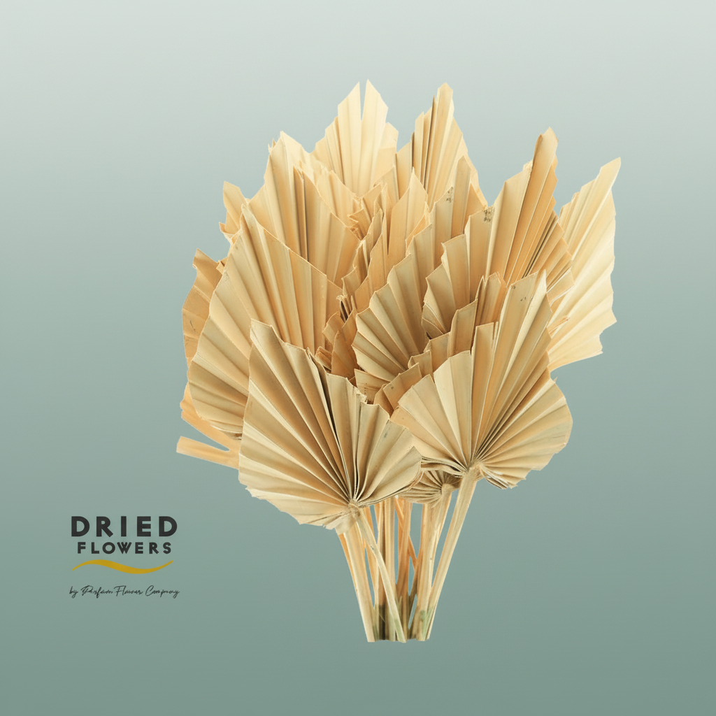 Dried Palm Spear Small Salmon