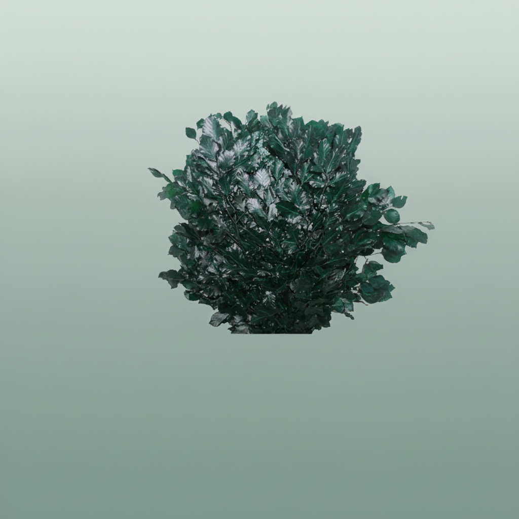 Pres Beuk Dark Green