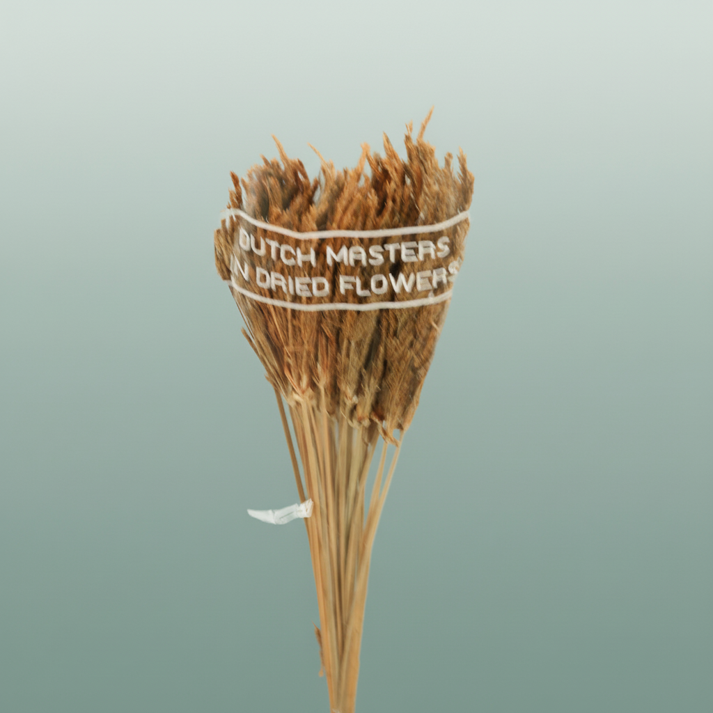 Dried Umbr. Sedge Big Leaf Natural