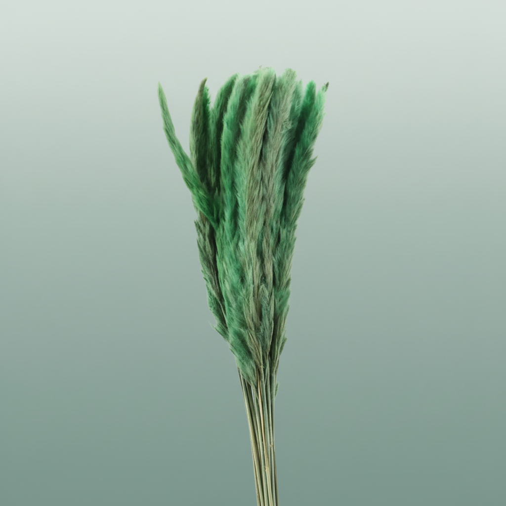 Dried Fluffy Pampas Light Green