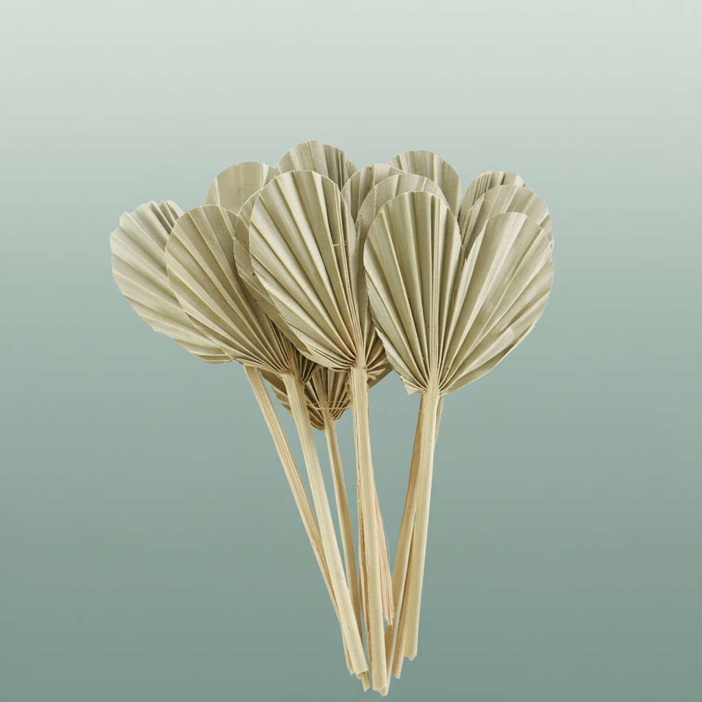 Dried Palm Heart Naturel