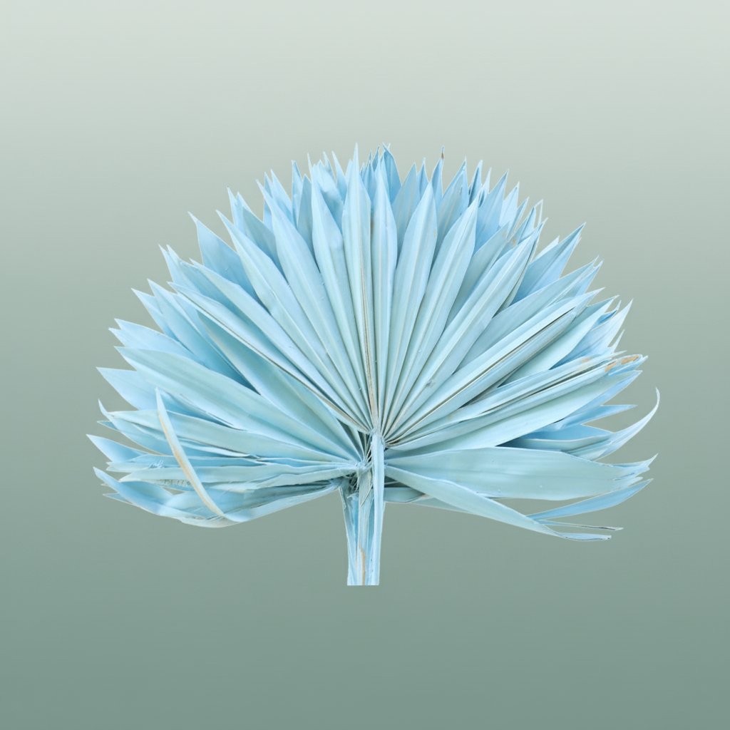 Dried Palm Sun Light Blue