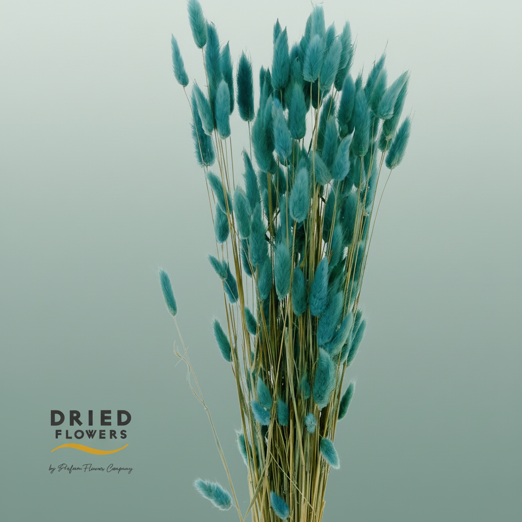 Dried Bleached Lagurus Dark Blue