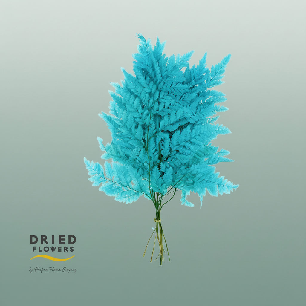 Dried Bleached Leatherleaf Blue