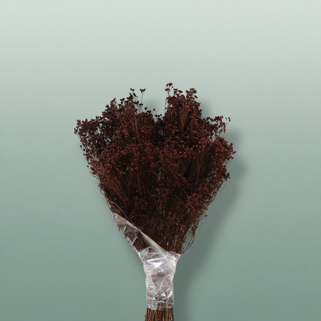 Dried Brooms D. Brown