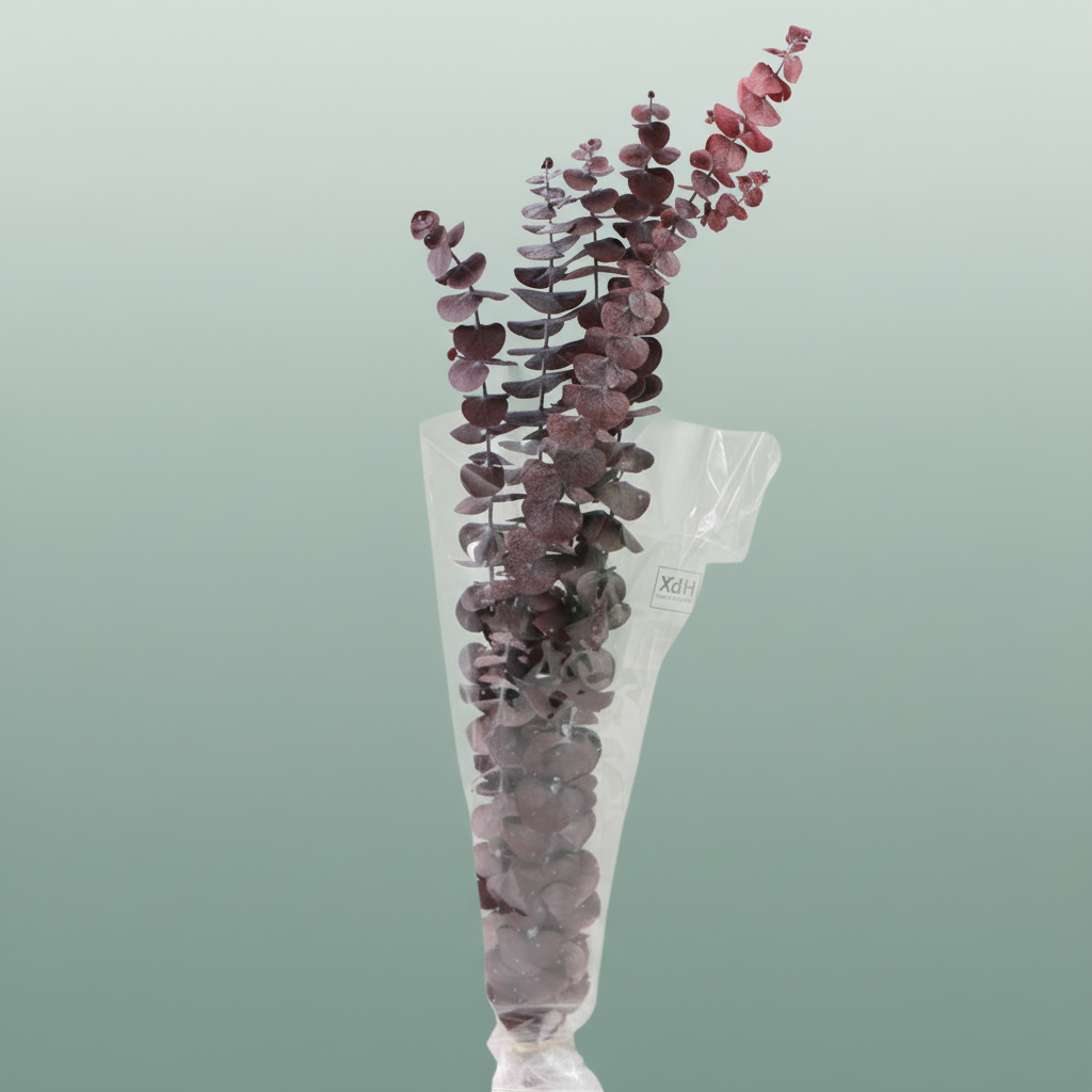 Pres Eucalyptus Baby Red