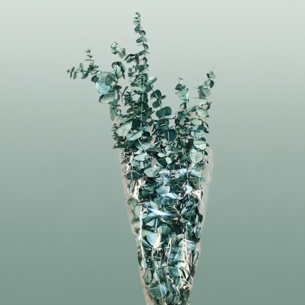 Pres Eucalyptus Baby Blue Metal Green