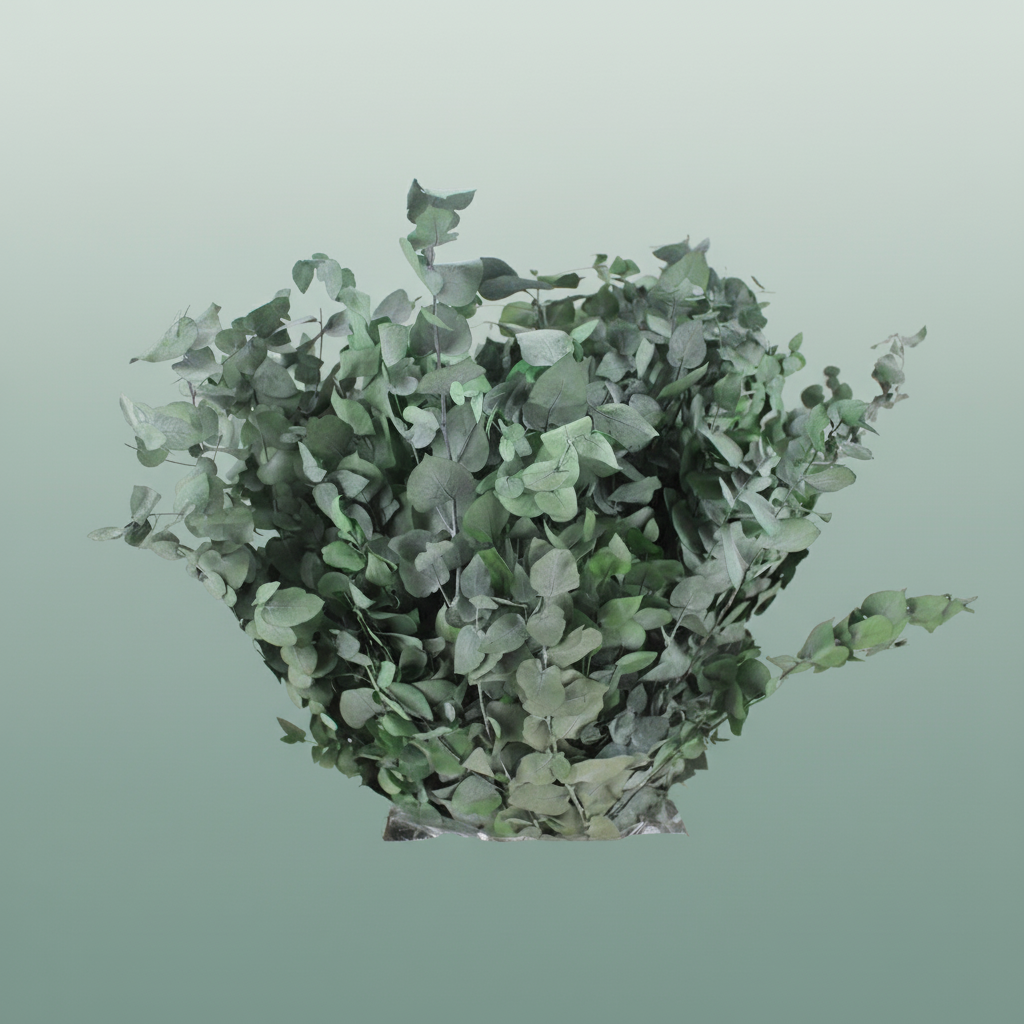 Pres Eucalyptus Stuartiana Green