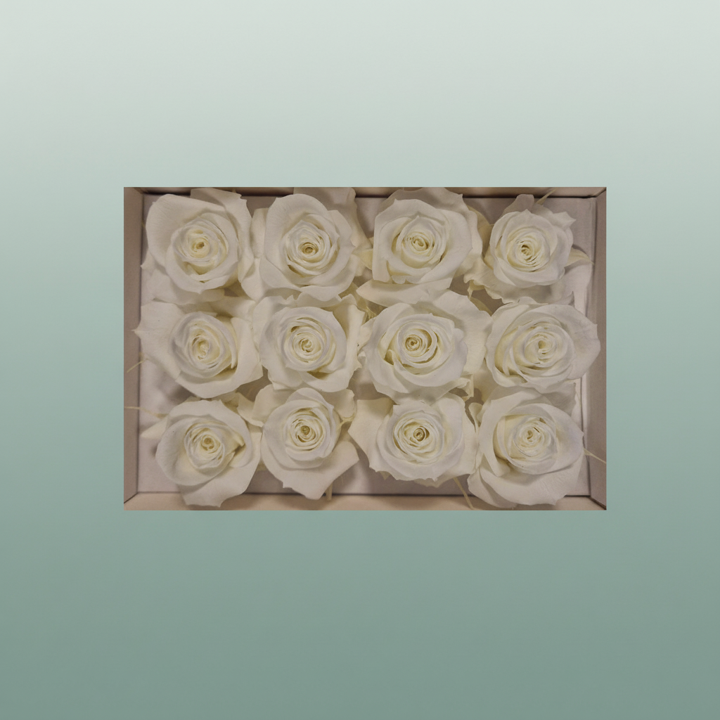 Rose Preserved Mini Ivory
