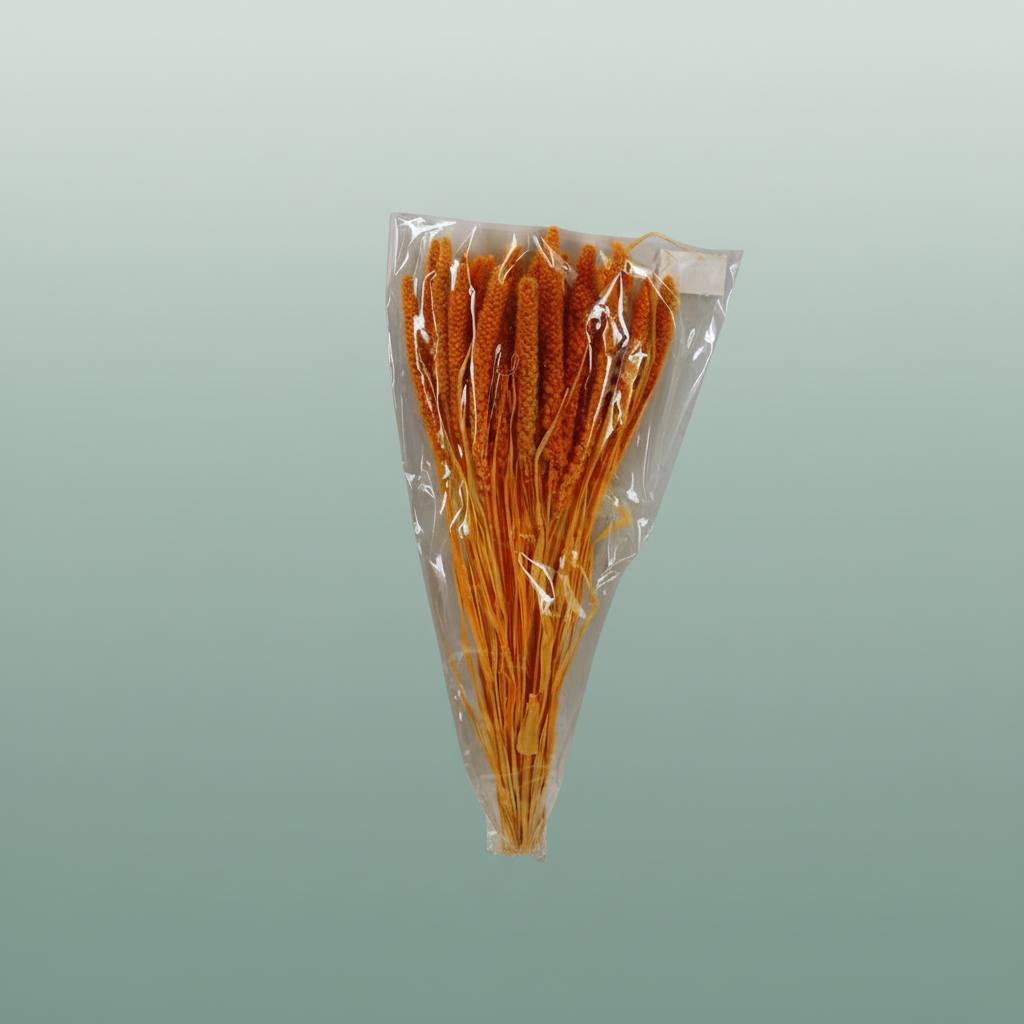 Dried Setaria Italica Apricot