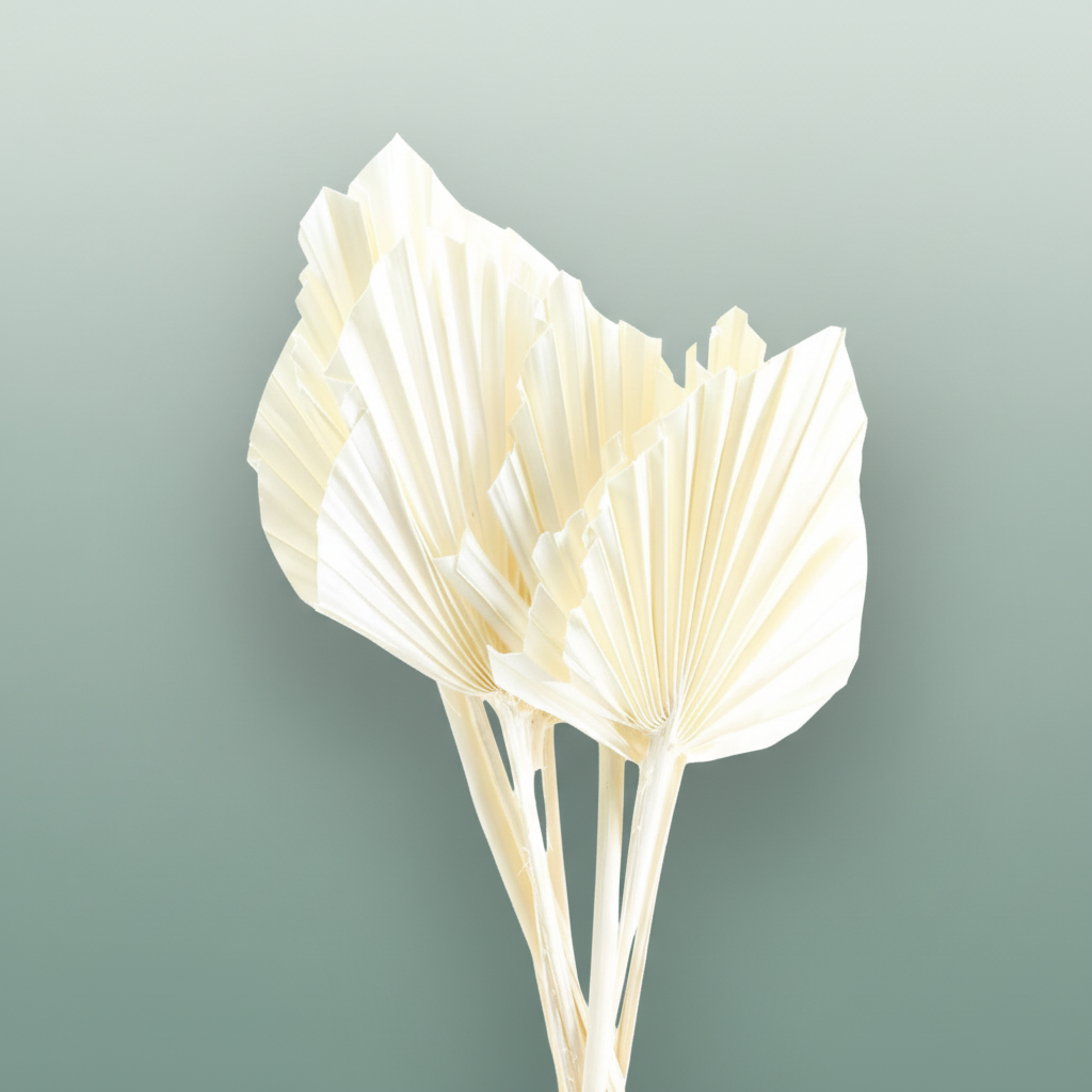 Dried Palm Spear Bleached