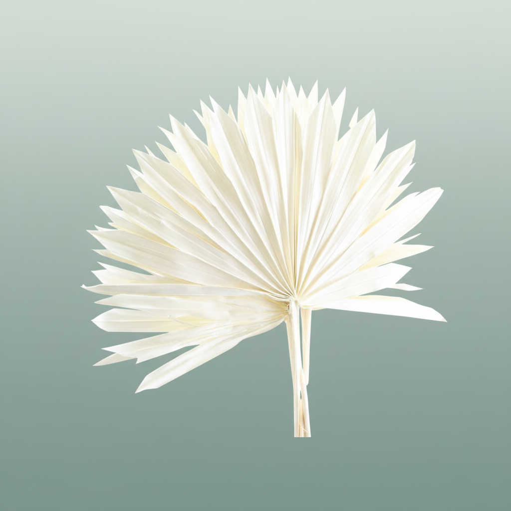 Dried Palm Sun Bleached