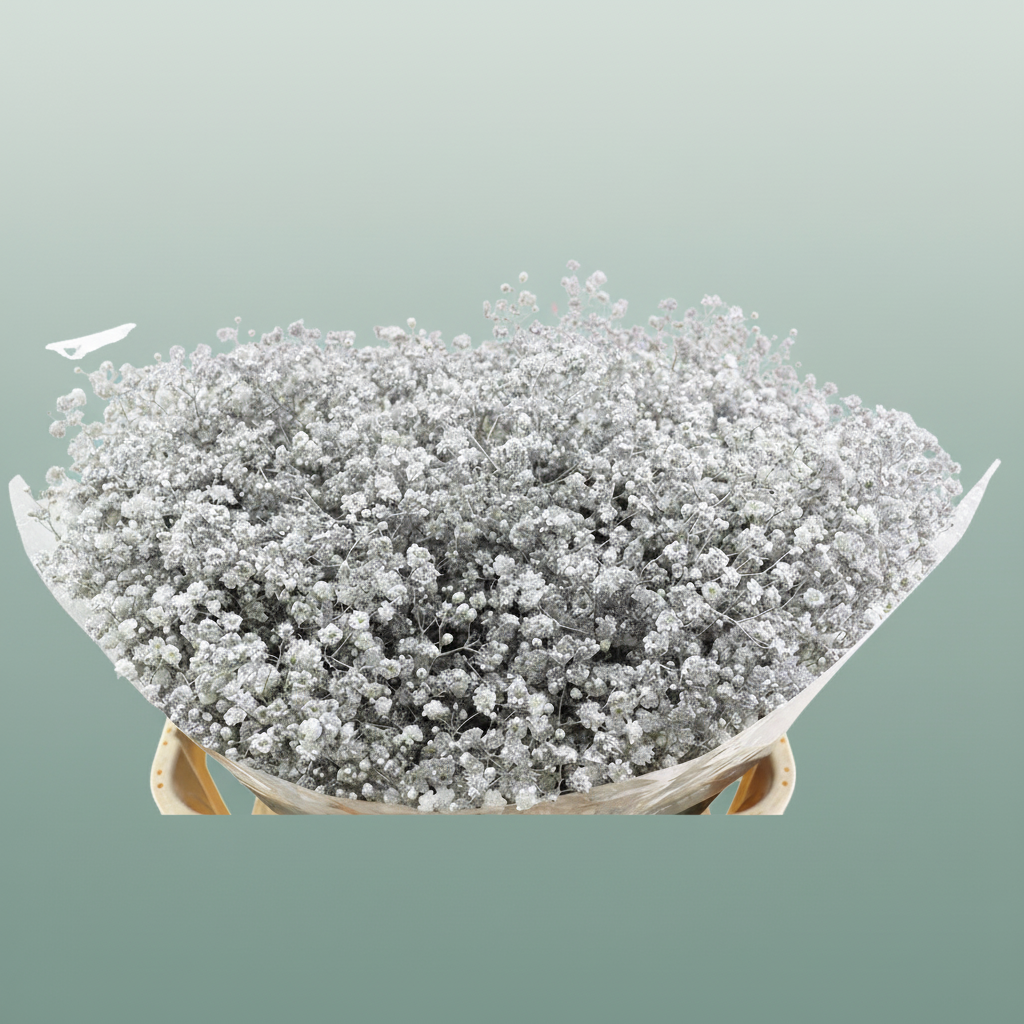 Gypsophila Dyed Grof Metallic Silver