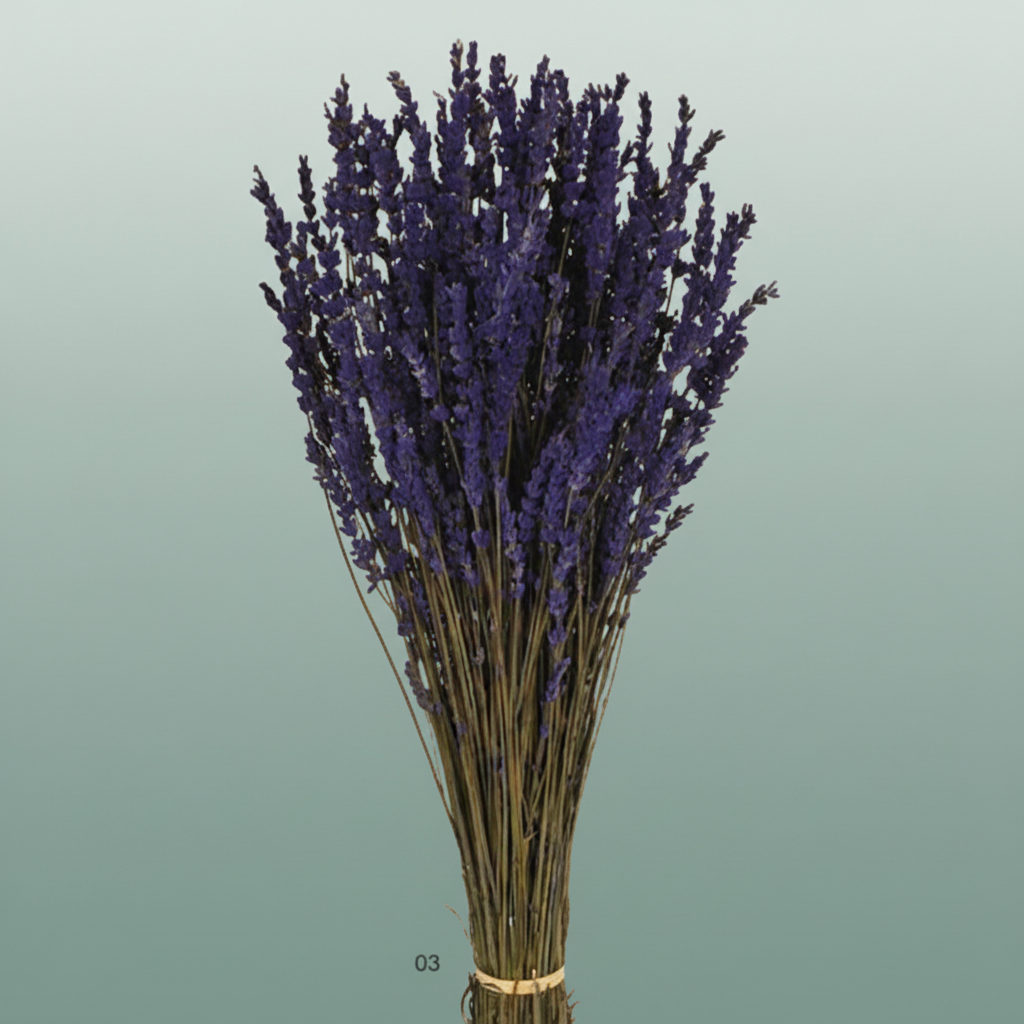 Pres Lavendel Dark Blue Super