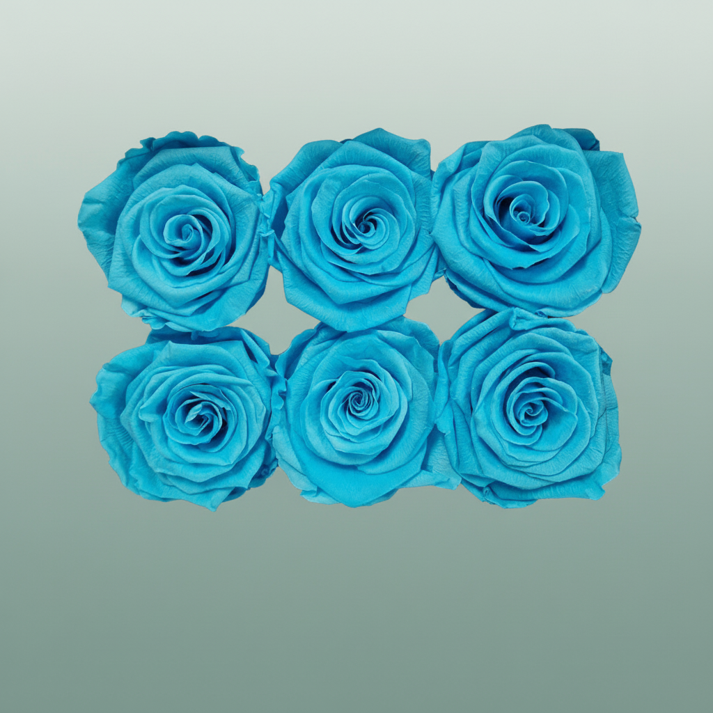 Rose Preserved Classic Cyan