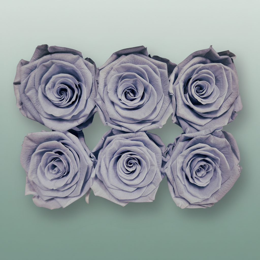 Rose Preserved Classic Lavender