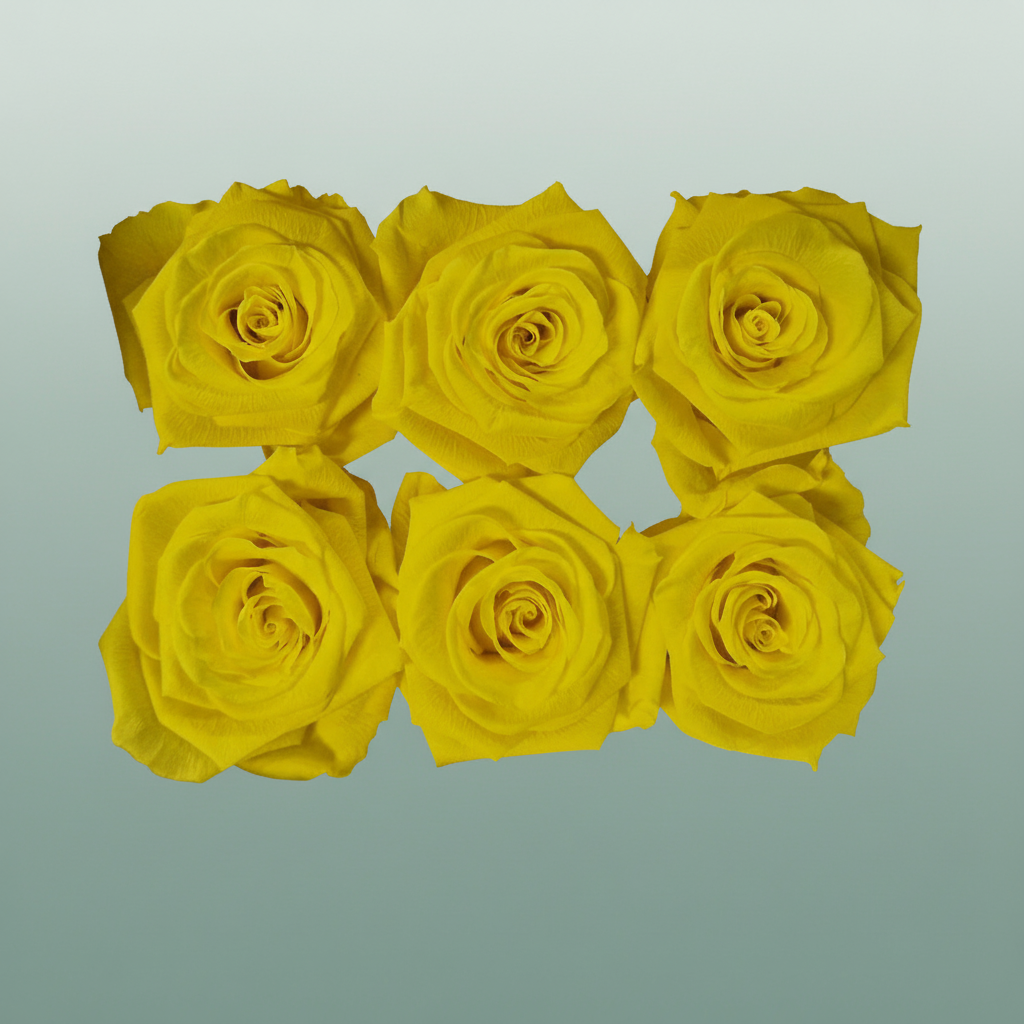 Rose Preserved Classic Yellow