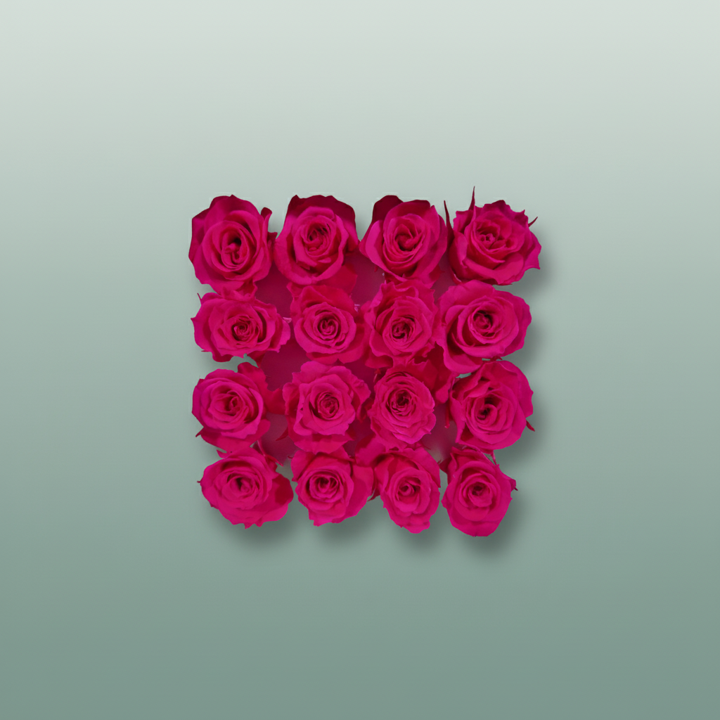 Rose Preserved Micro Fuchsia