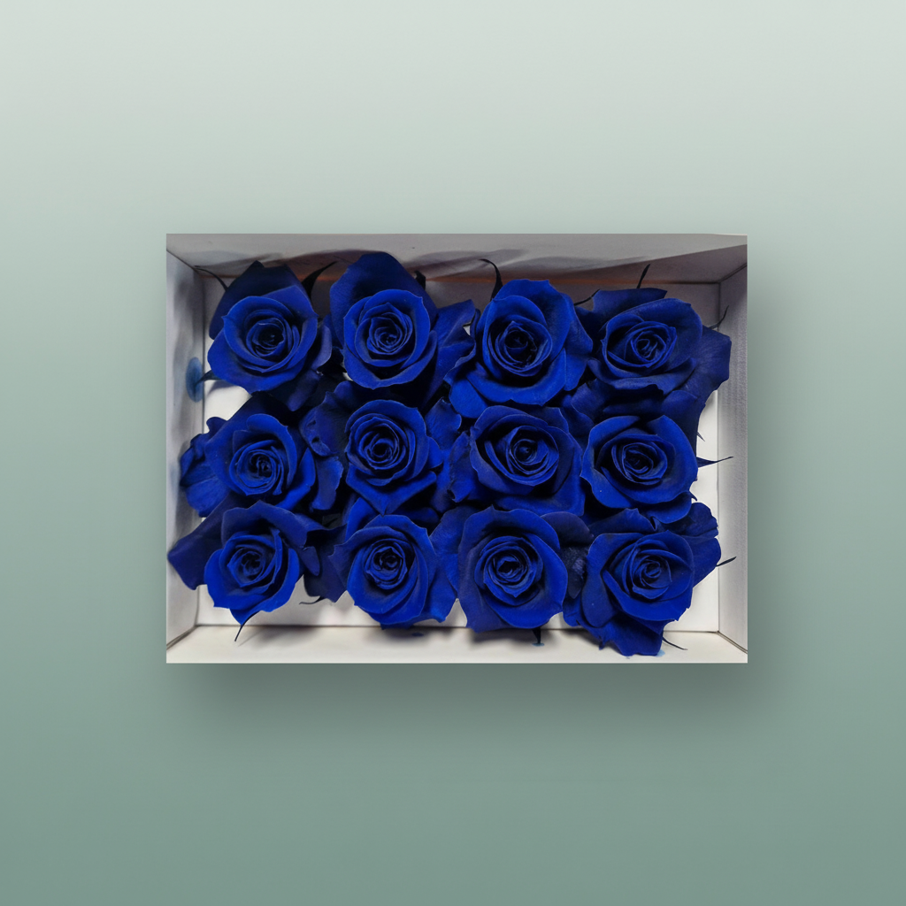 Rose Preserved Mini Blue