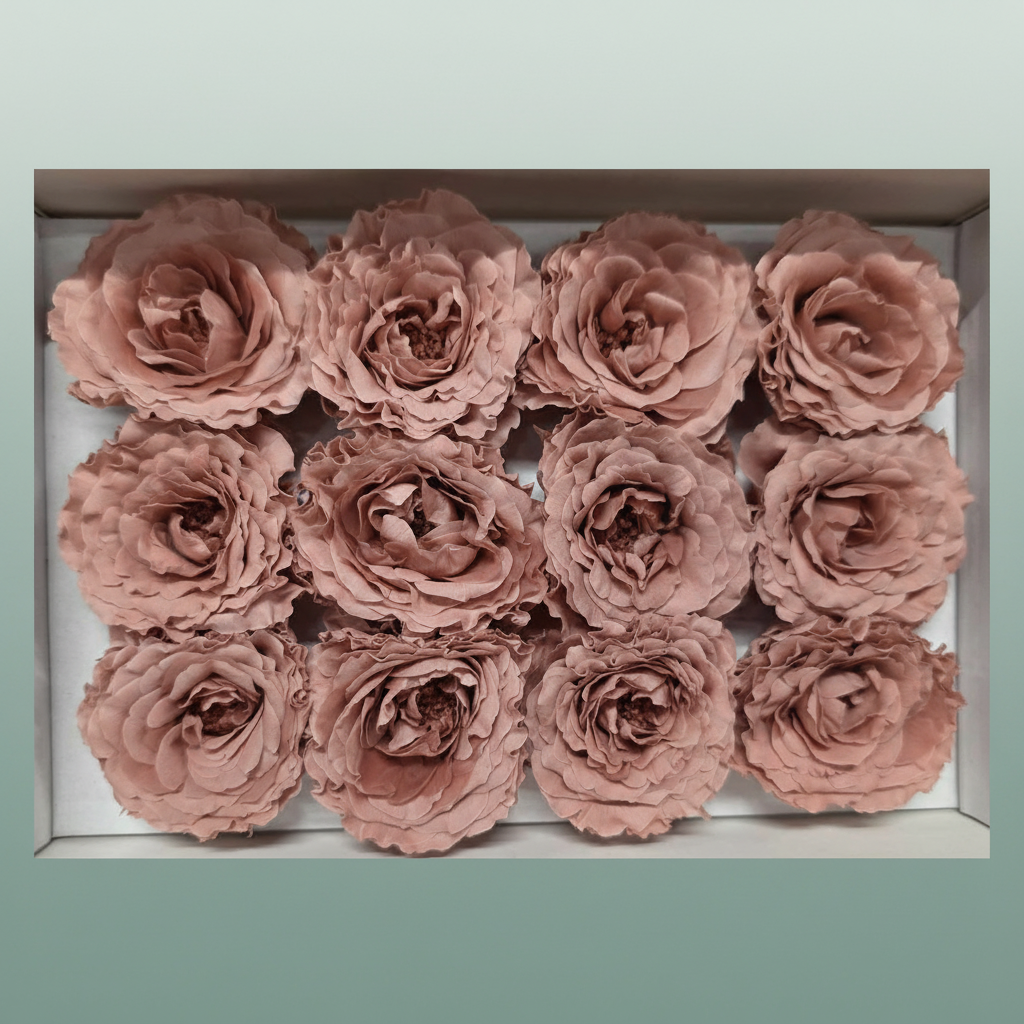 Ro Pres Rom Mini Pink Dusty