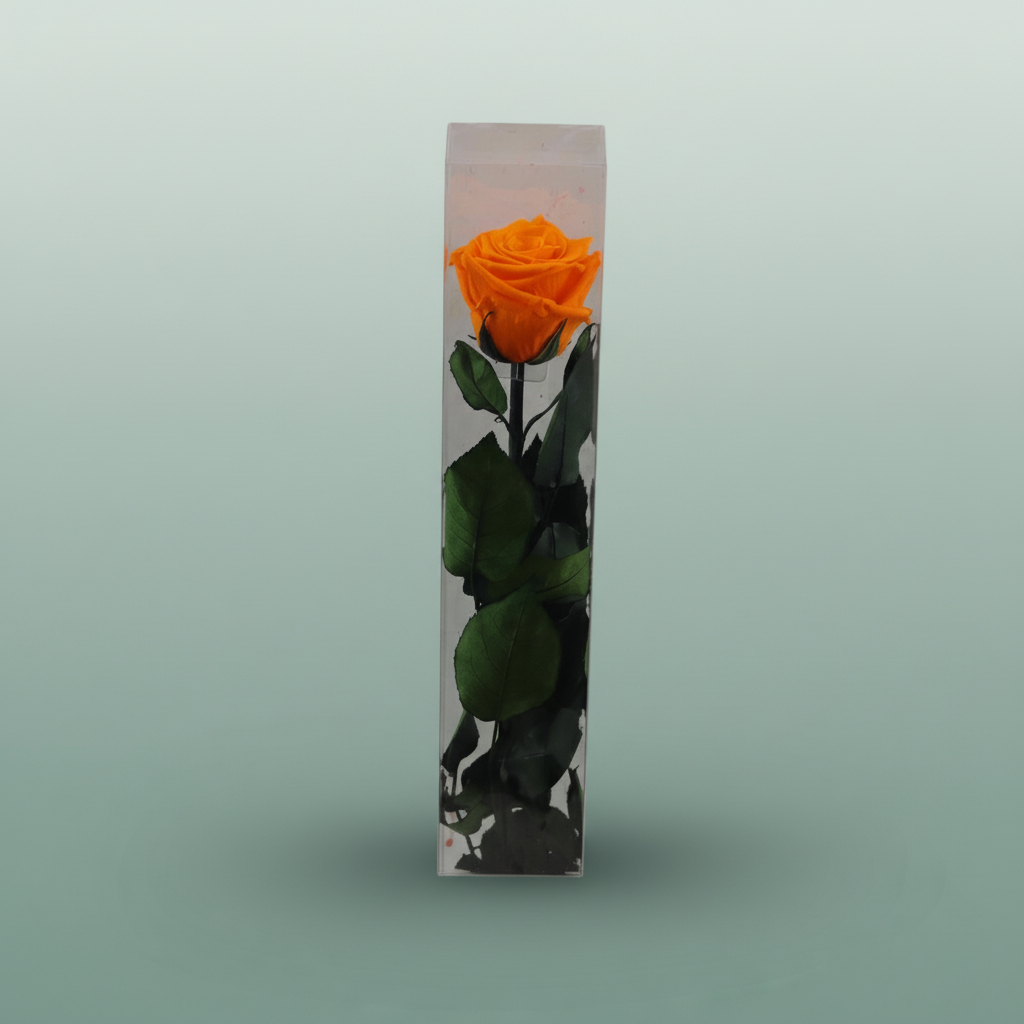 Rose Preserved Stem Orange
