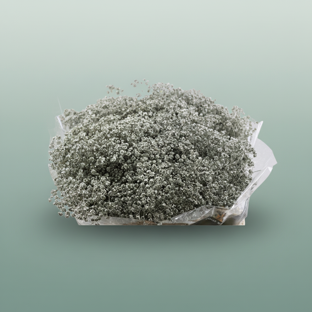 Gypsophila Dyed Grof Metallic Platinum