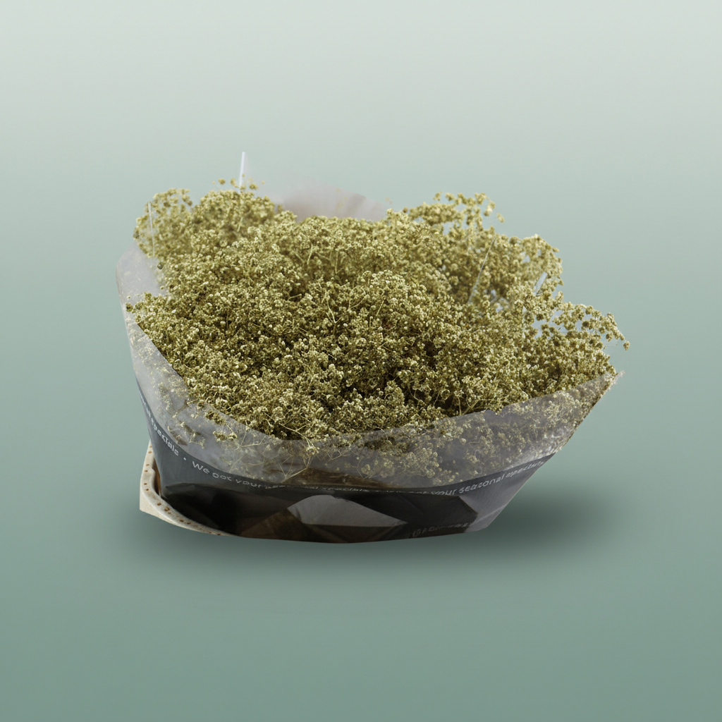 Gypsophila Dyed Grof Metallic Gold