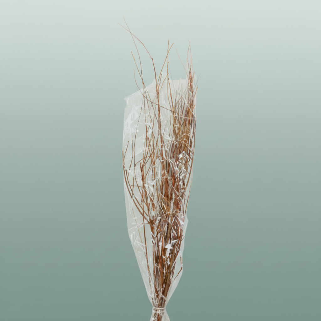 Dried Tamerice Natural Poly