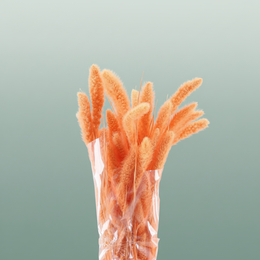 Dried Setaria Salmon