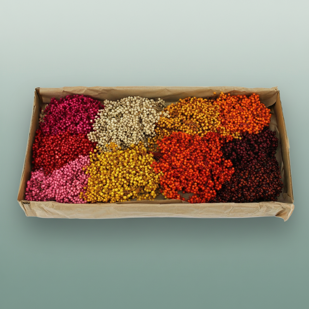 Schinus M Pt Peru Mix